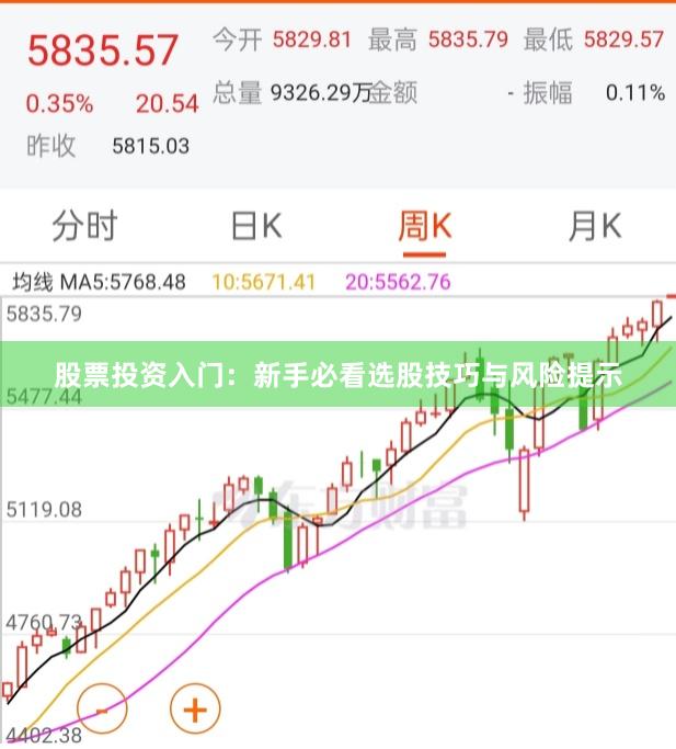 股票投资入门：新手必看选股技巧与风险提示