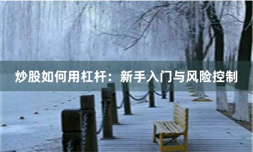 炒股如何用杠杆:新手入门与风险控制