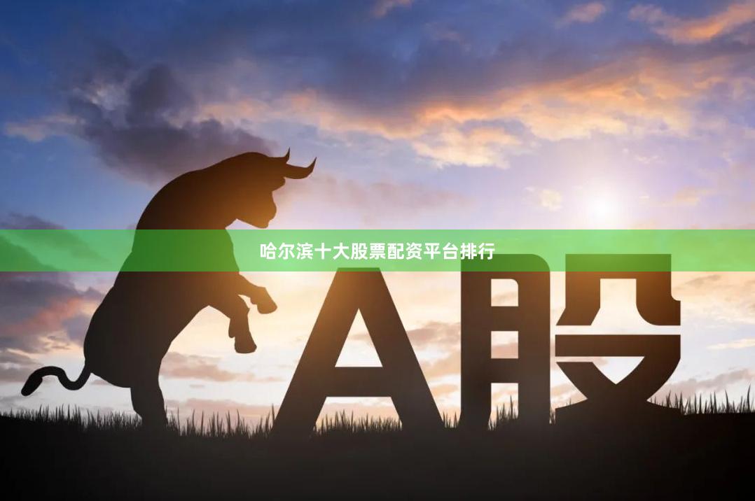 哈尔滨十大股票配资平台排行